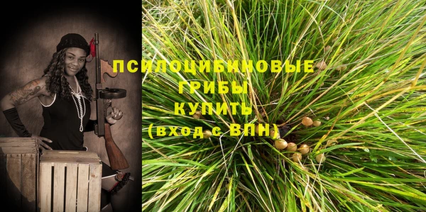 крисы Алзамай
