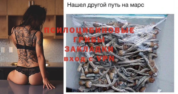 крисы Алзамай