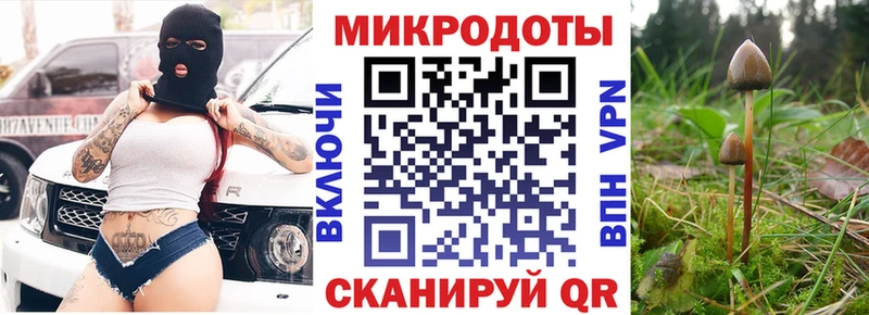 Галлюциногенные грибы Psilocybine cubensis  Пролетарск 