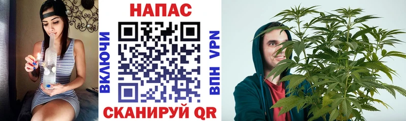 Бошки марихуана гибрид  OMG рабочий сайт  Пролетарск 